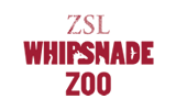 Zsl Whipsnade Zoo